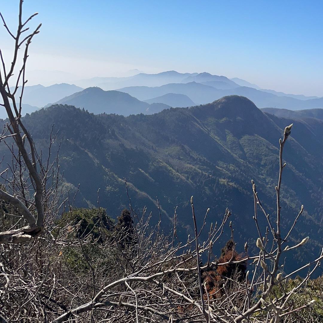 小 李