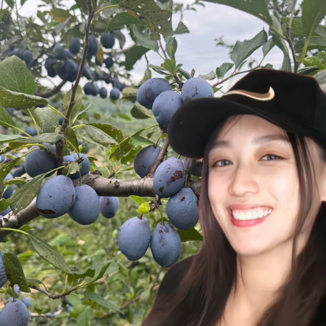 小莲农场大连鲜果