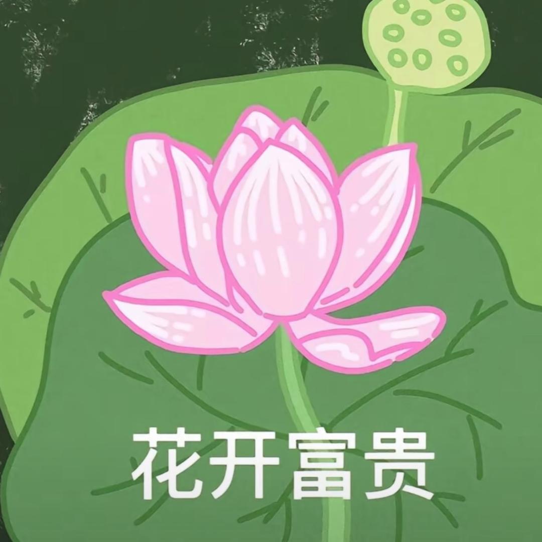 被财神爷强制爱的女人