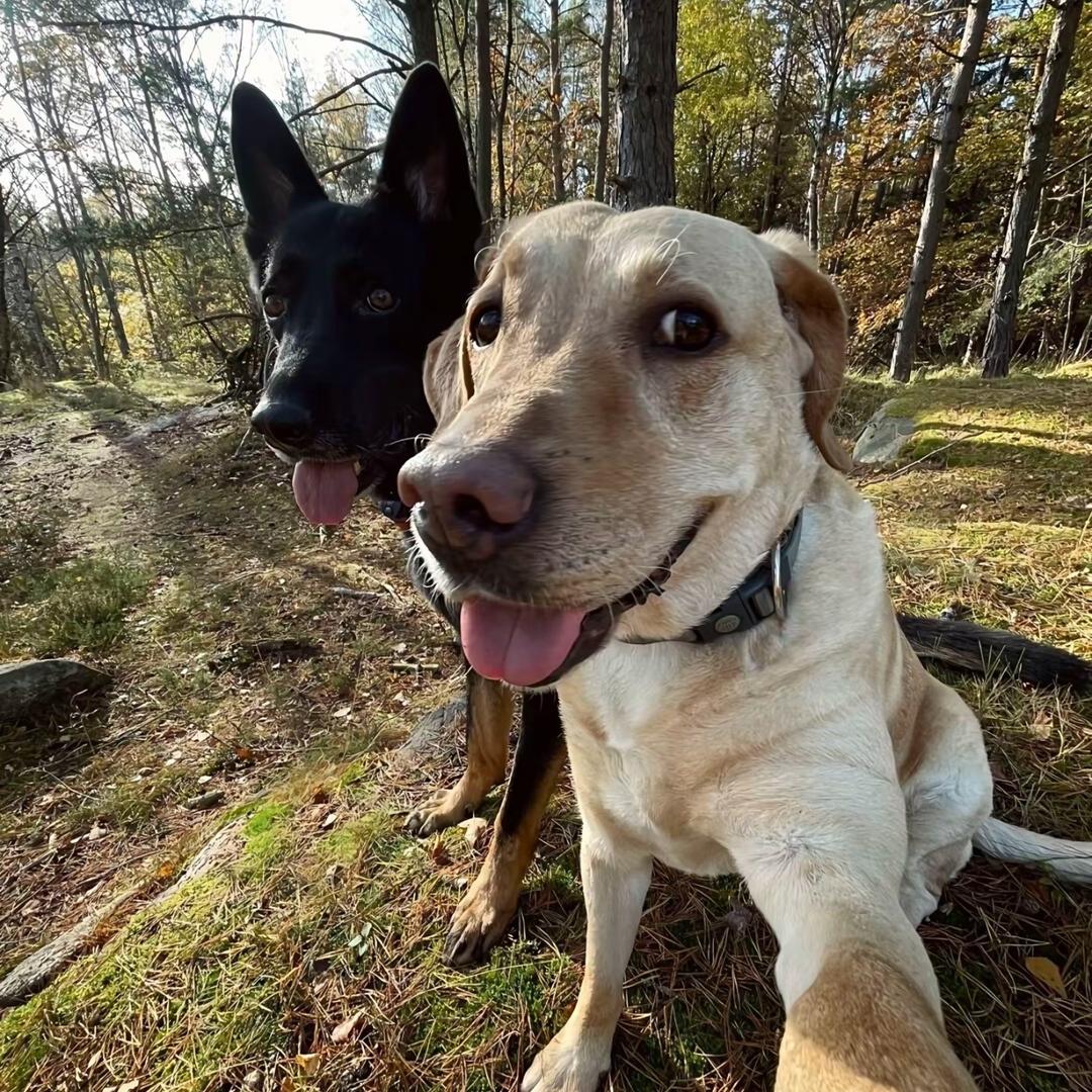 优客选养生滋补