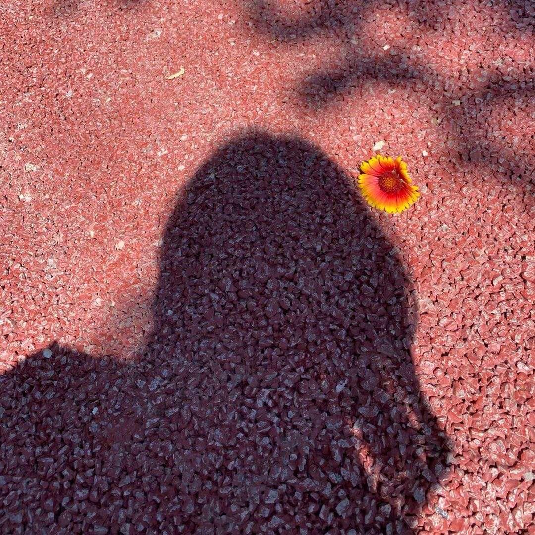 极端少女在线极端