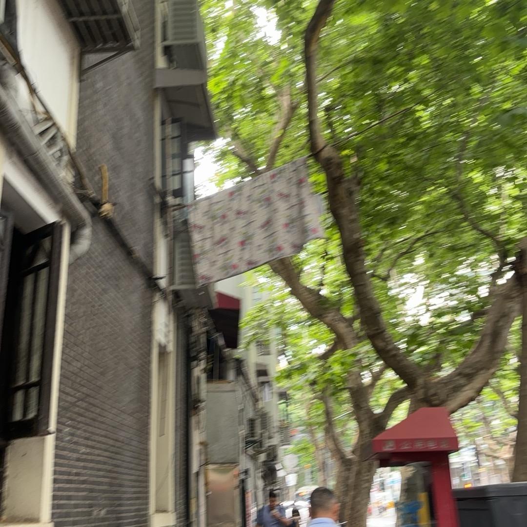 你好小猫