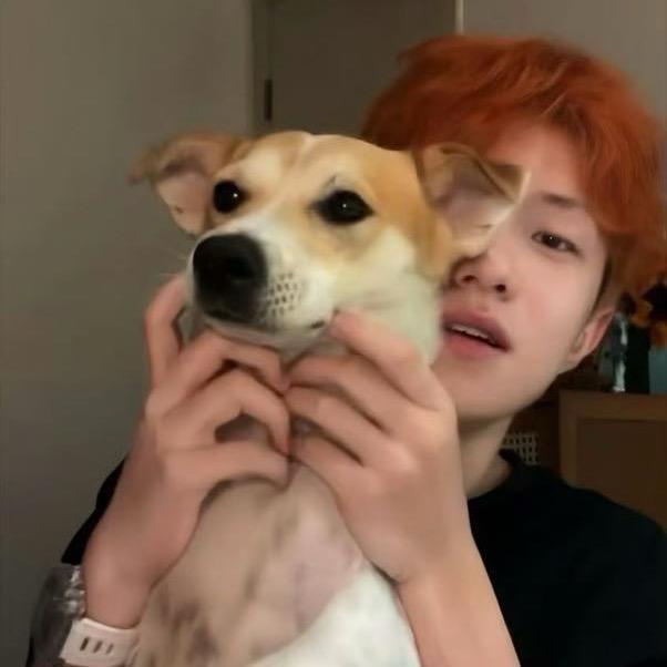汉堡小熊🍔