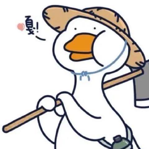 寇大亿