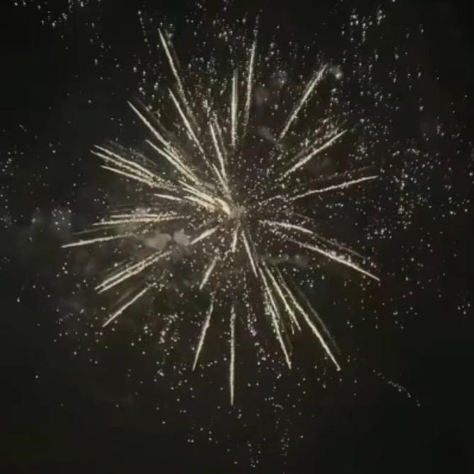 我想我会一直孤单