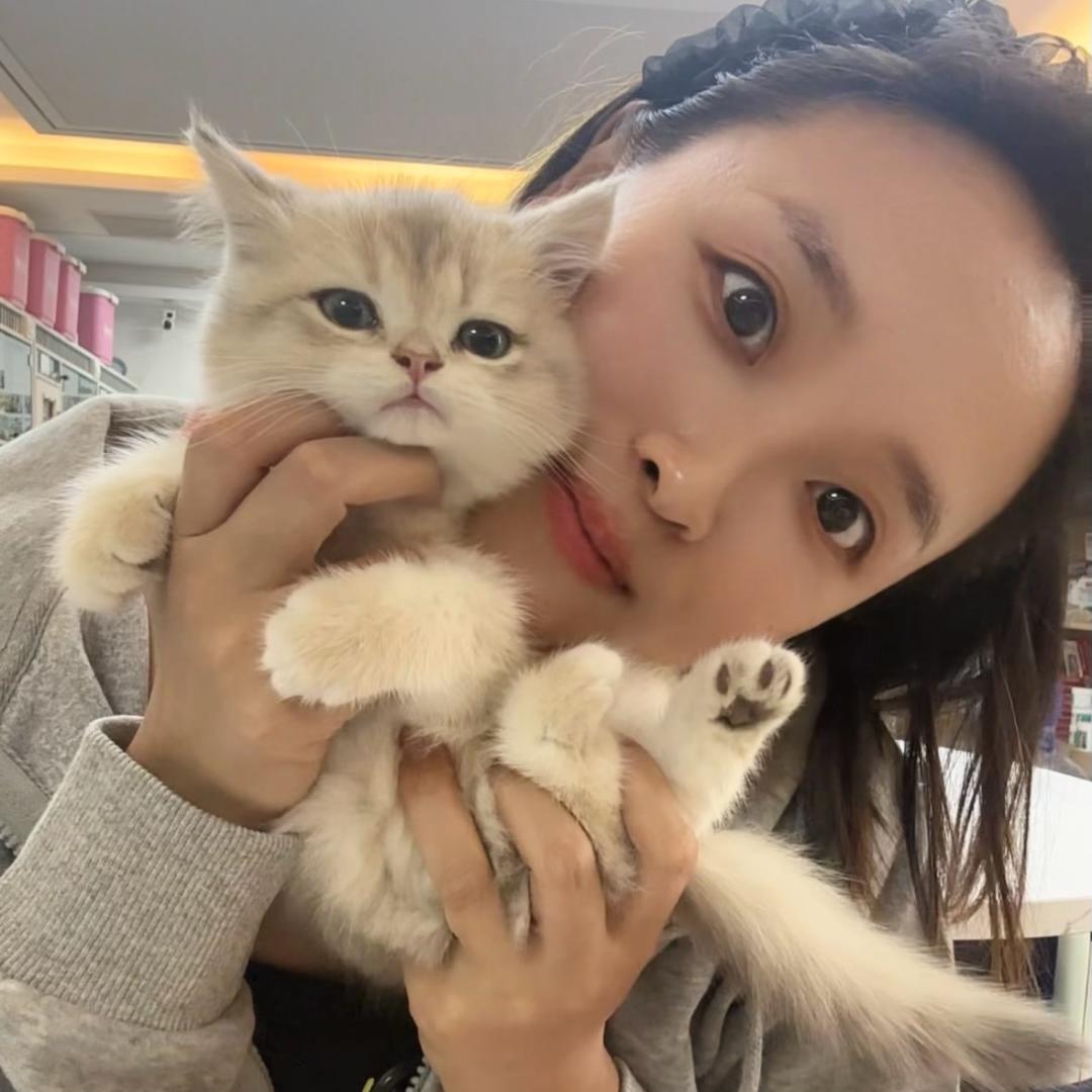 俏了个俏
