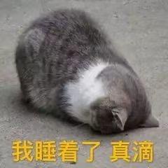 阿鹅哦头像