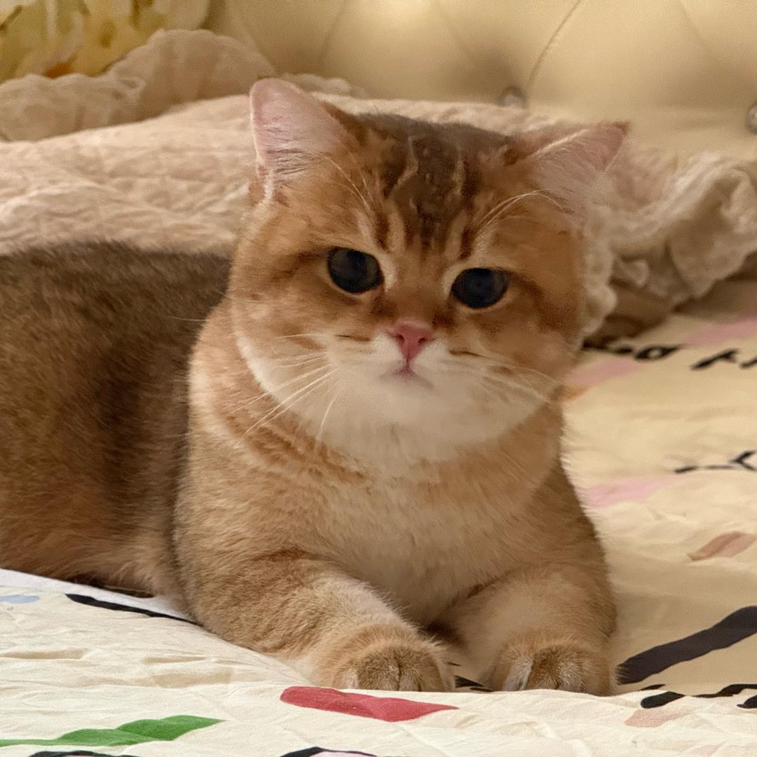 不爱睡懒觉💜💜💜