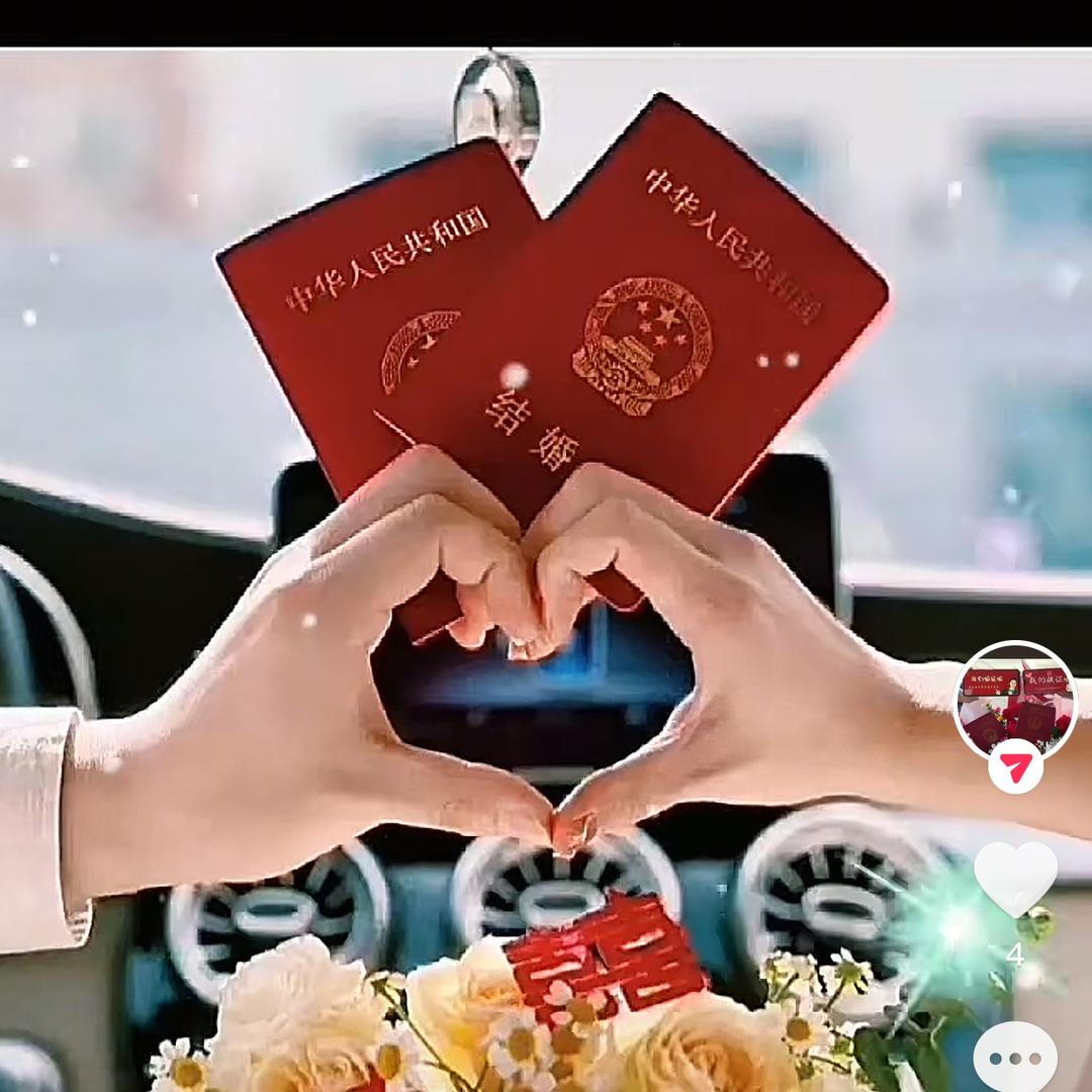 维汉速婚(喜悦慕)