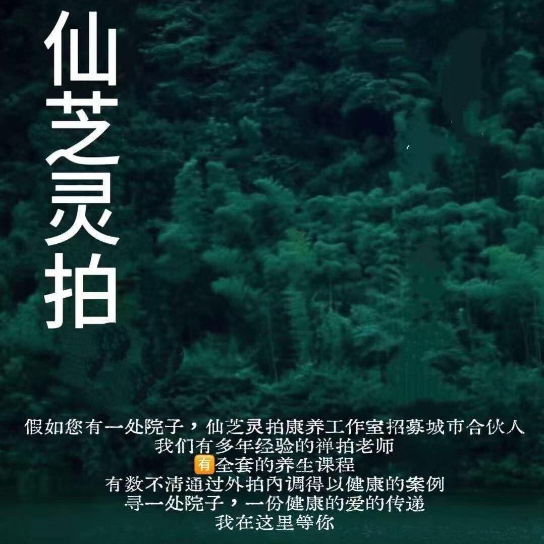 小满禅拍