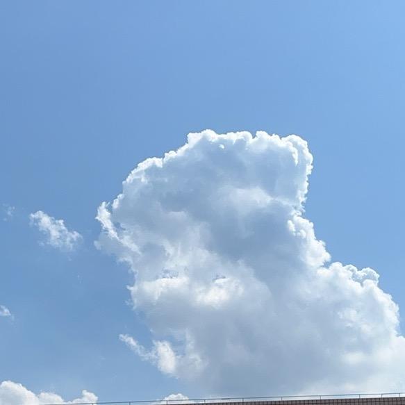 鸿_