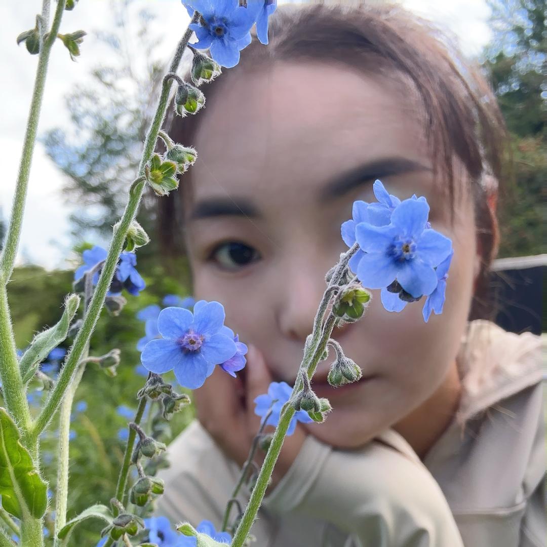 婷妹