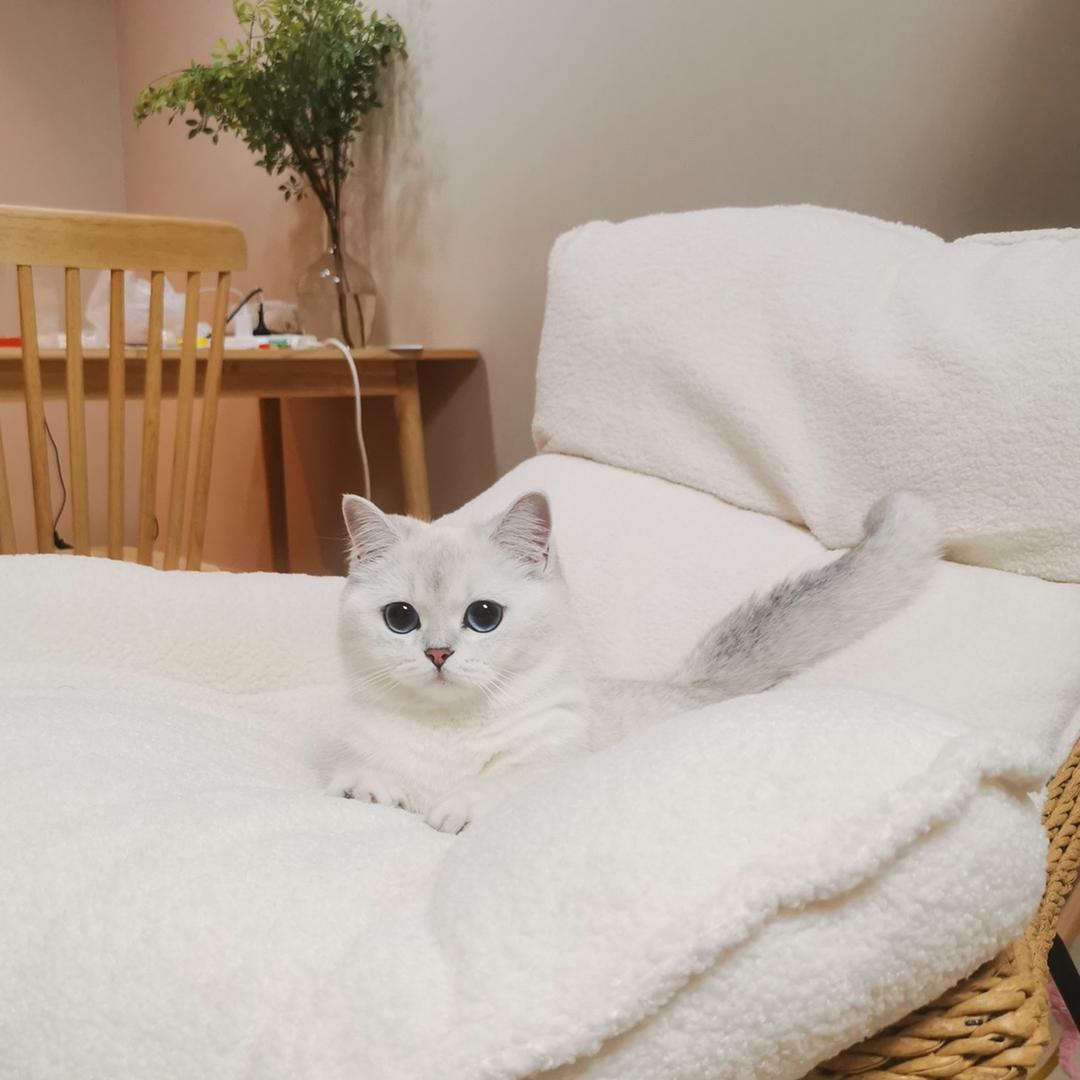 你是我的萨菲娜💞