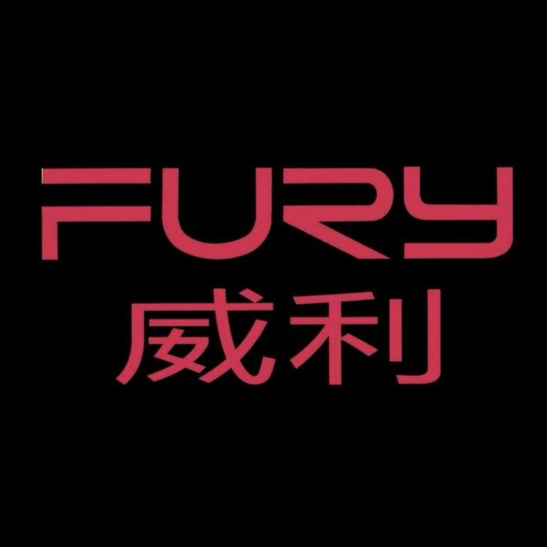 威利FURY台球杆