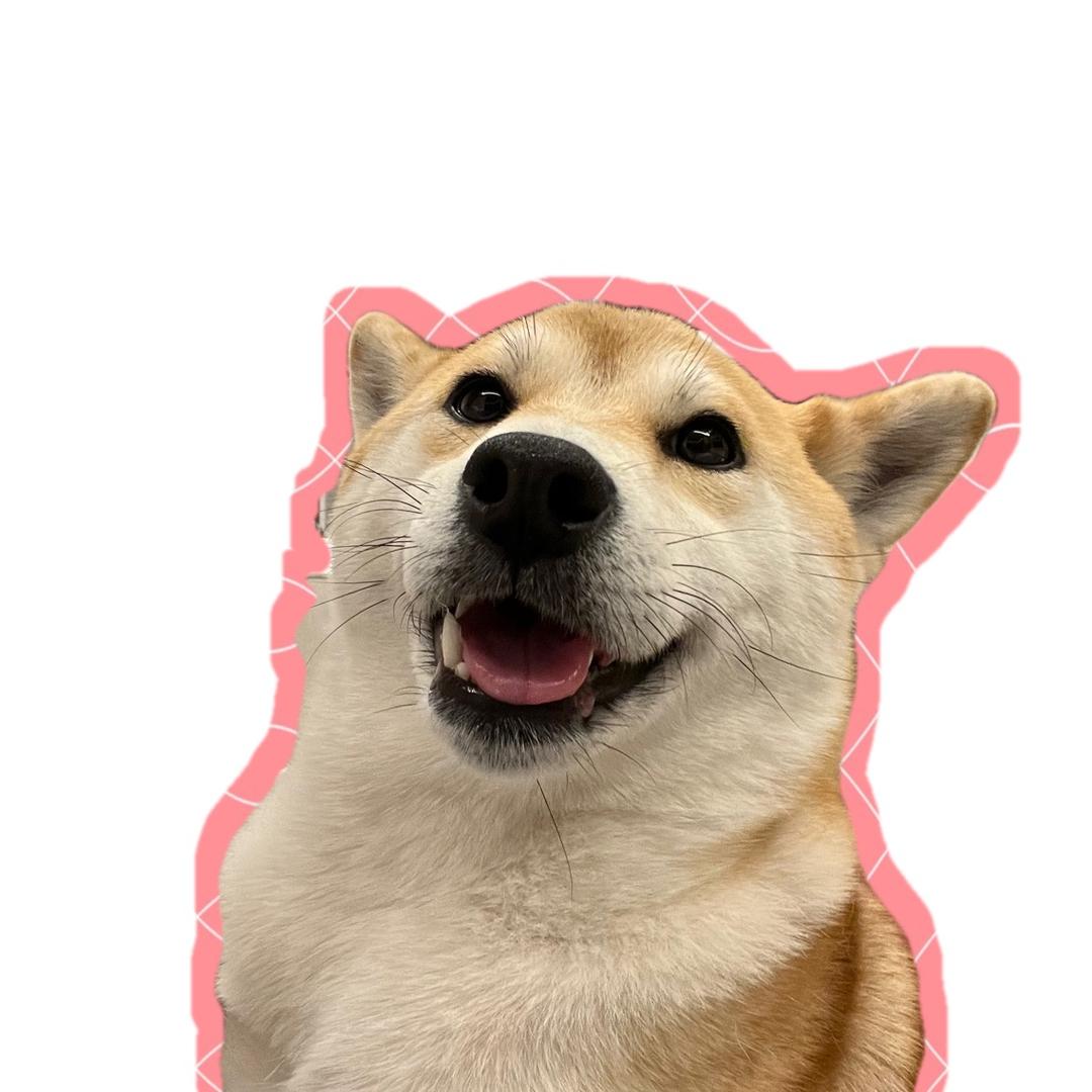 动物园园长Jyy