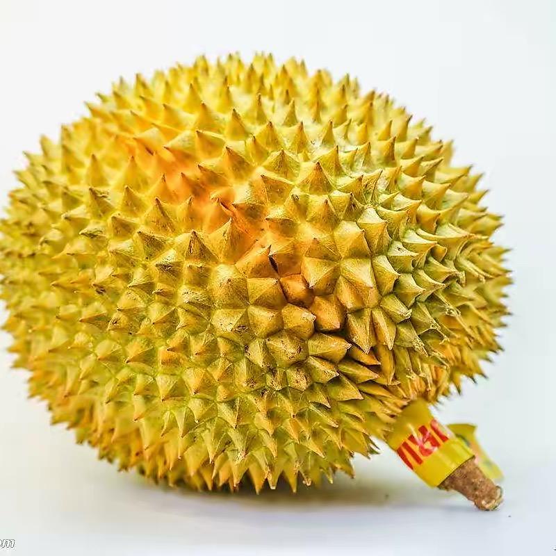 双福邓二妹农副产品