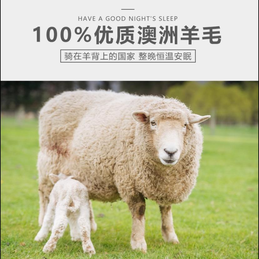 臭皮匠军哥