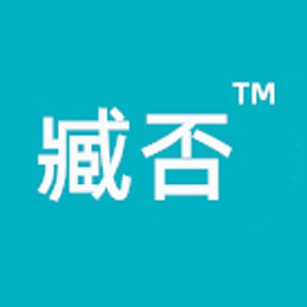 臧否数码旗舰店