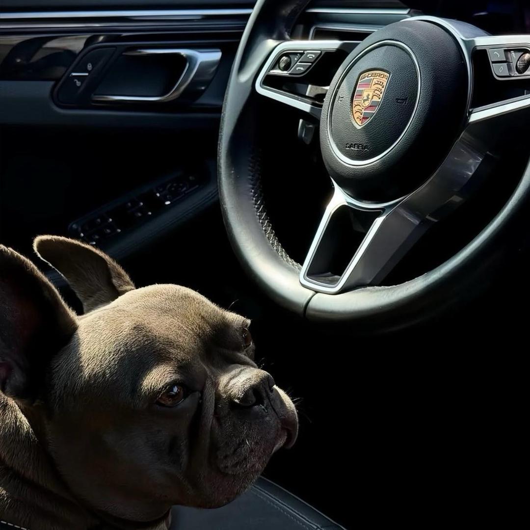 你善良的样子真的很好看