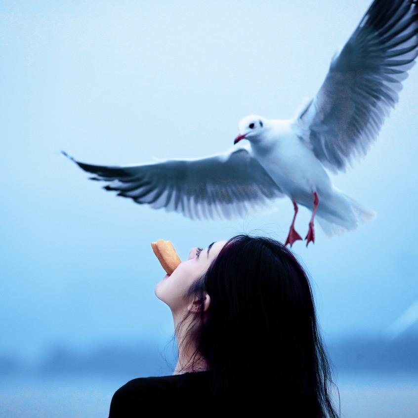 Ge葛岸上走✈️