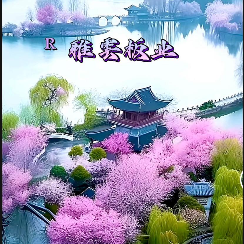 云儿飘飘