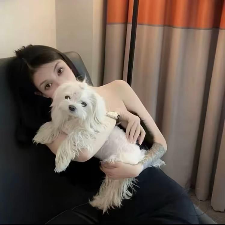 ㅤㅤㅤㅤㅤㅤㅤㅤㅤㅤㅤ