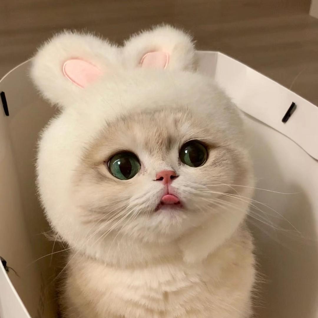 阿一咕