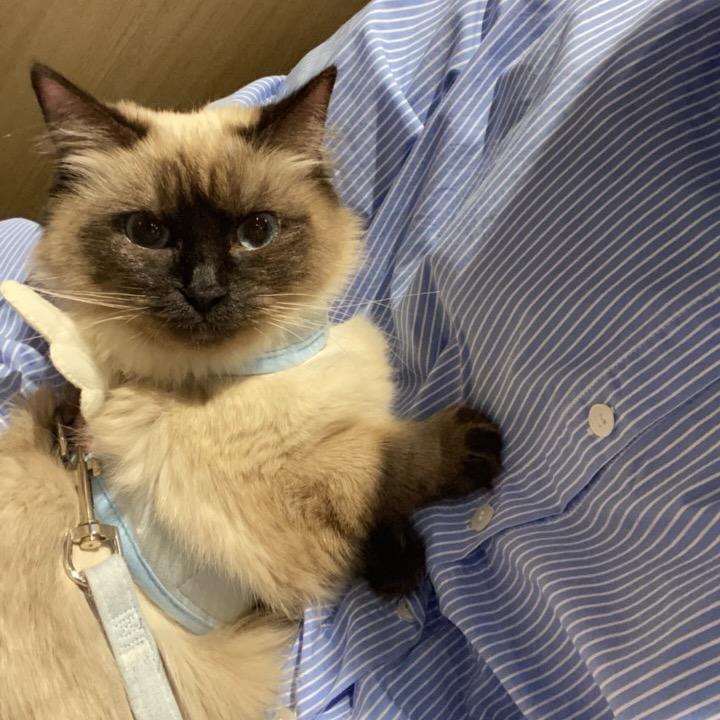 又想起你了