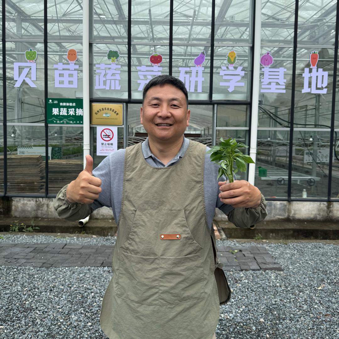 懂不懂菜大叔