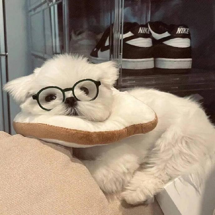 晟.