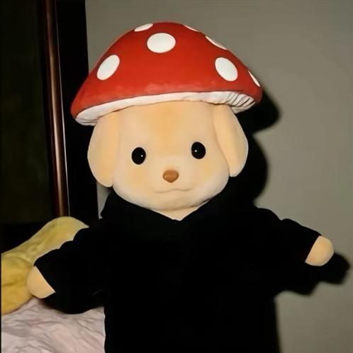 杜