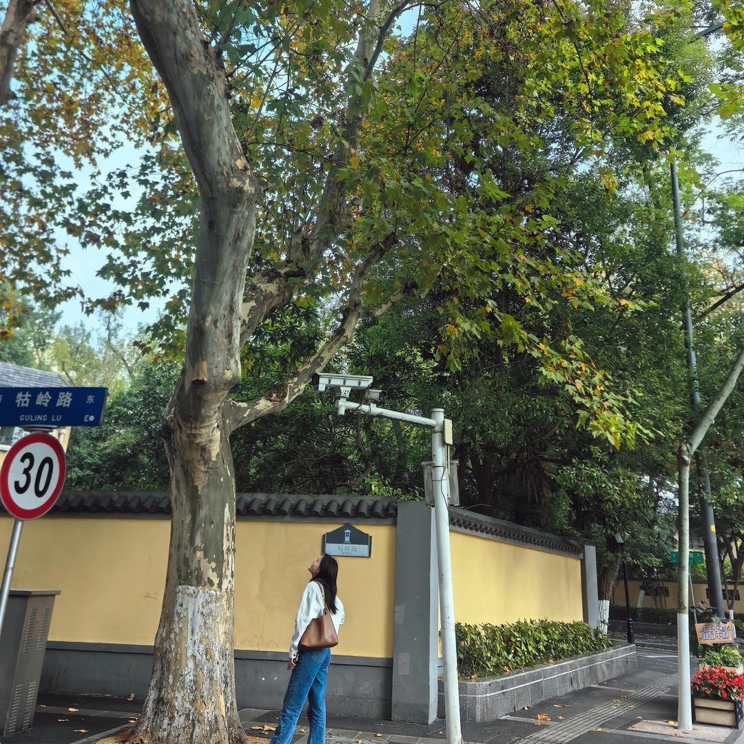 杨阳阳
