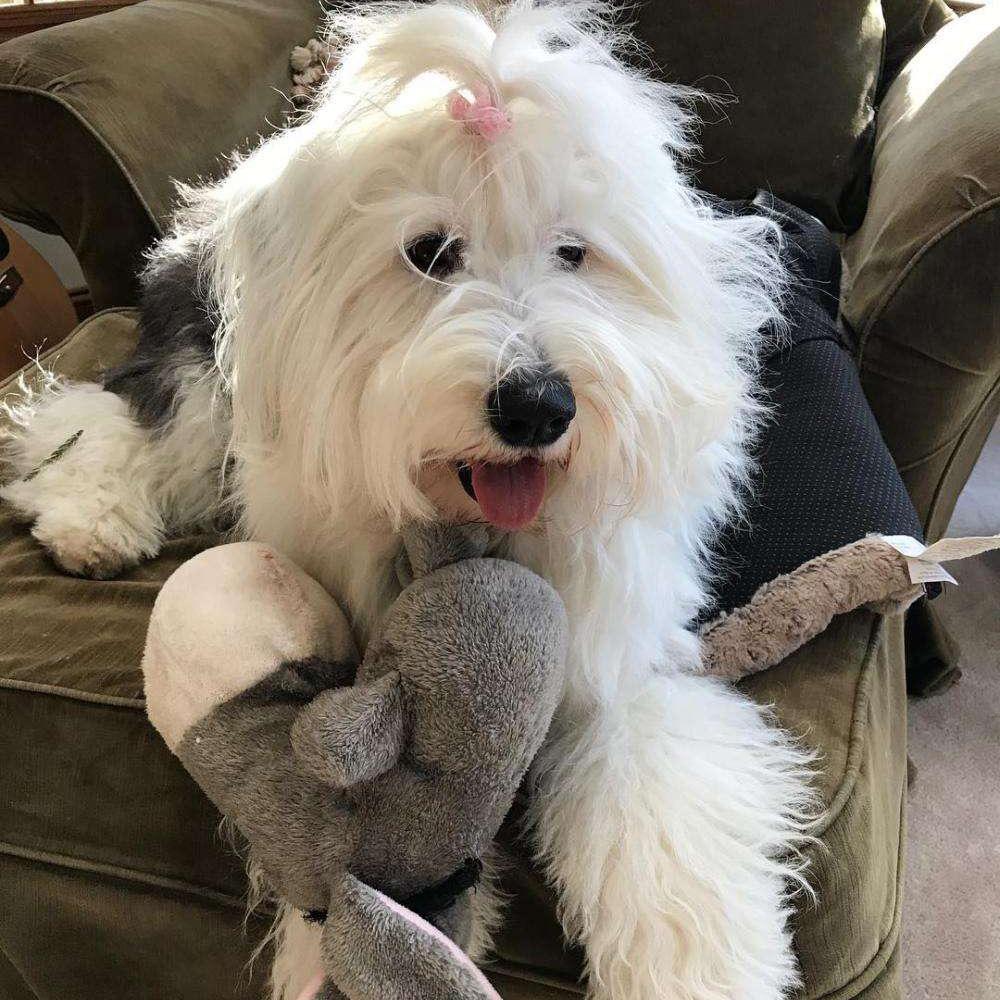 福福福福福福七