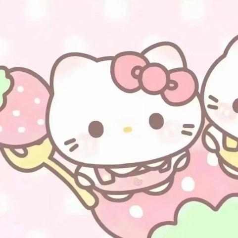 双子。