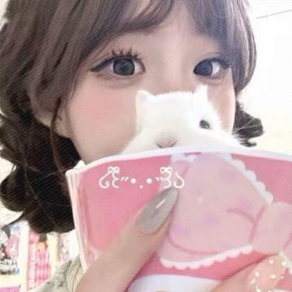 小巷的小猫