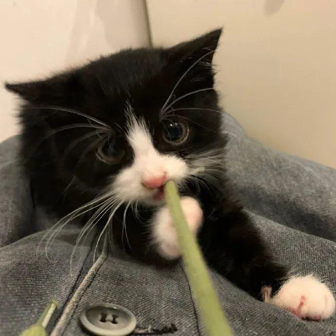 ⸂⸂⸜👊⸝⸃⸃哈哈哈