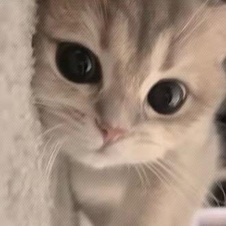 🐧.