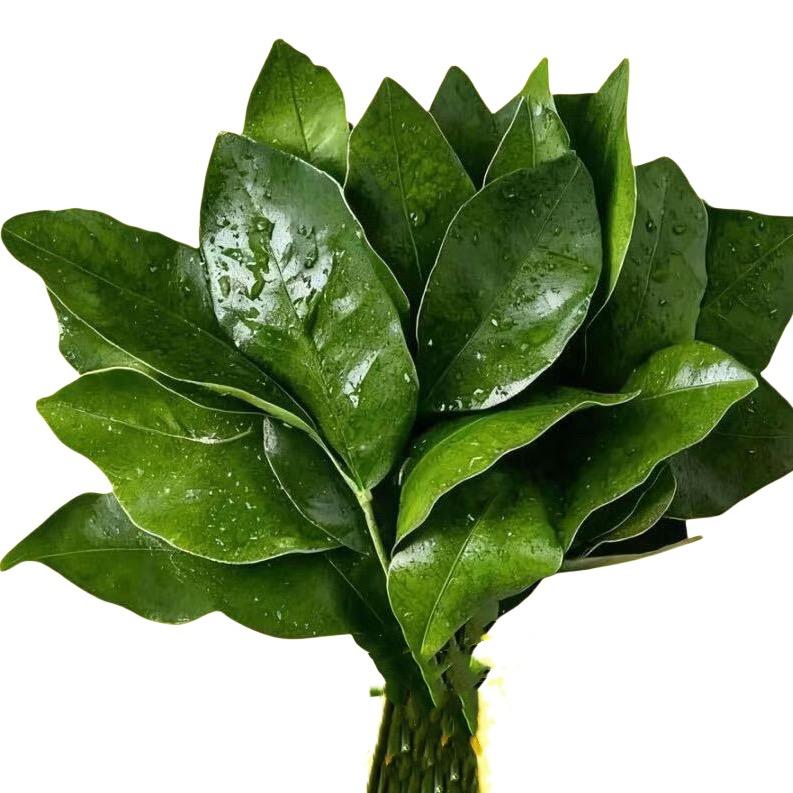 我是微胖（大大）