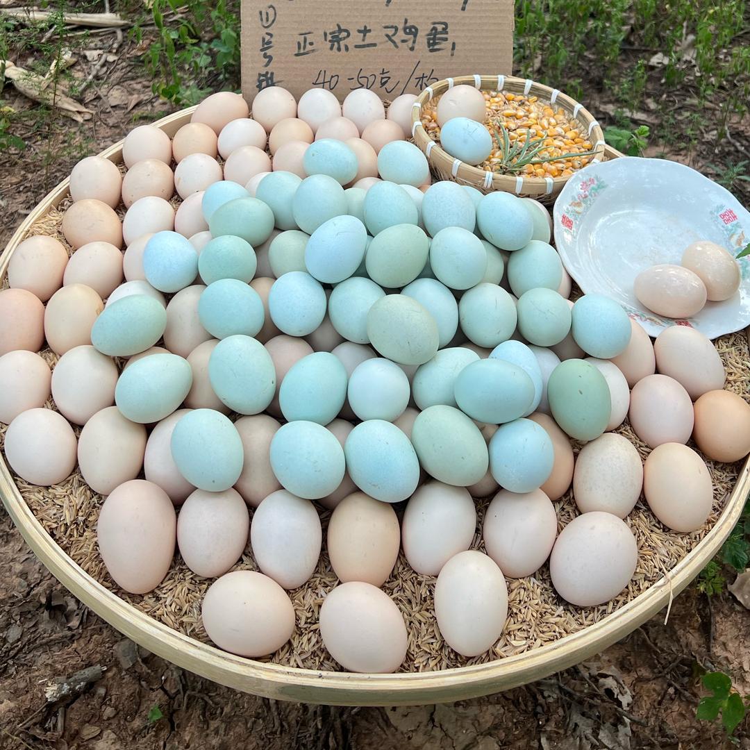 乔家农场