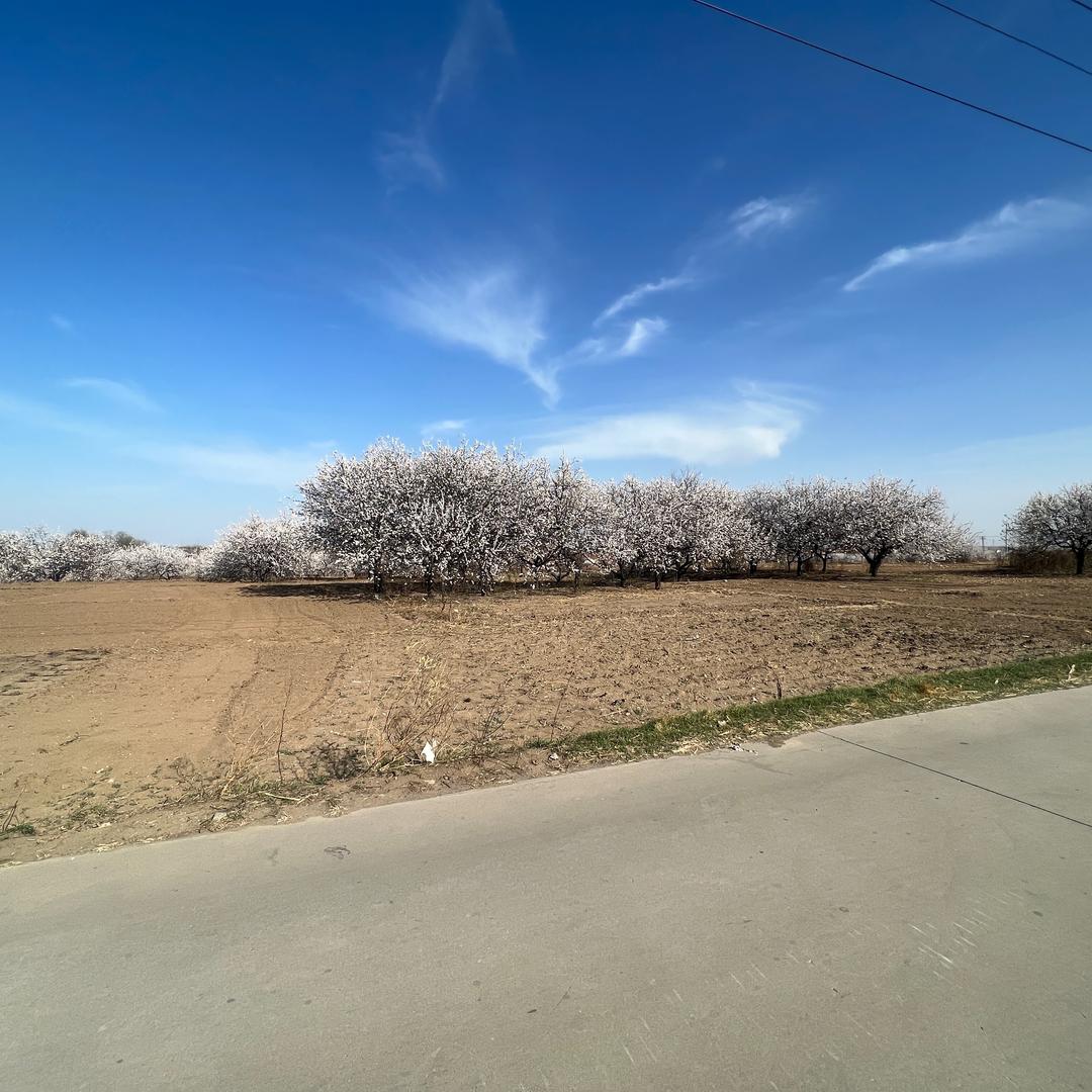 互🔥粉10000冲🐛