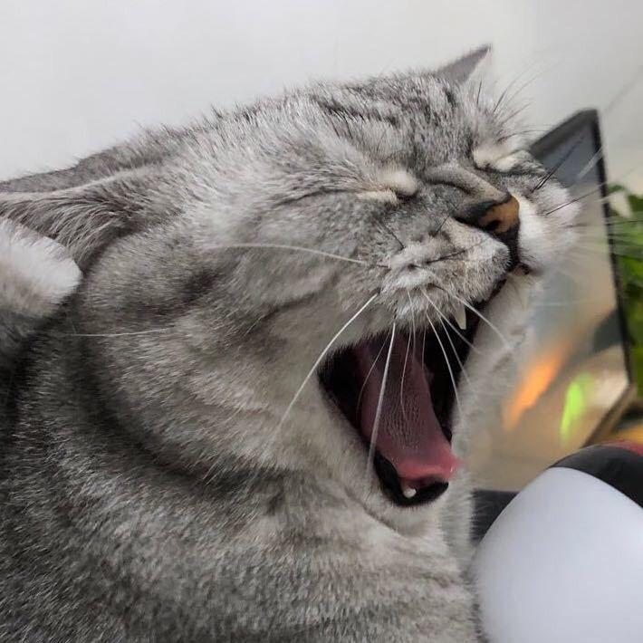 一只桶