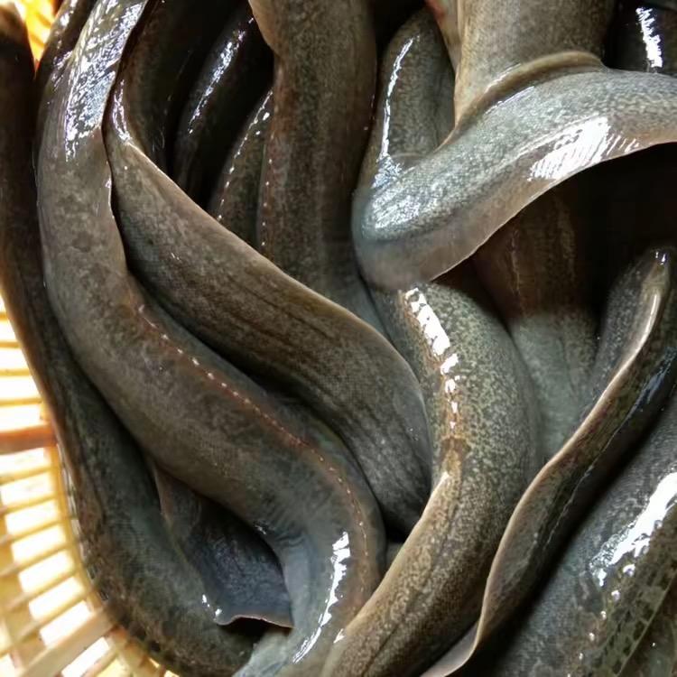 海富仓水产