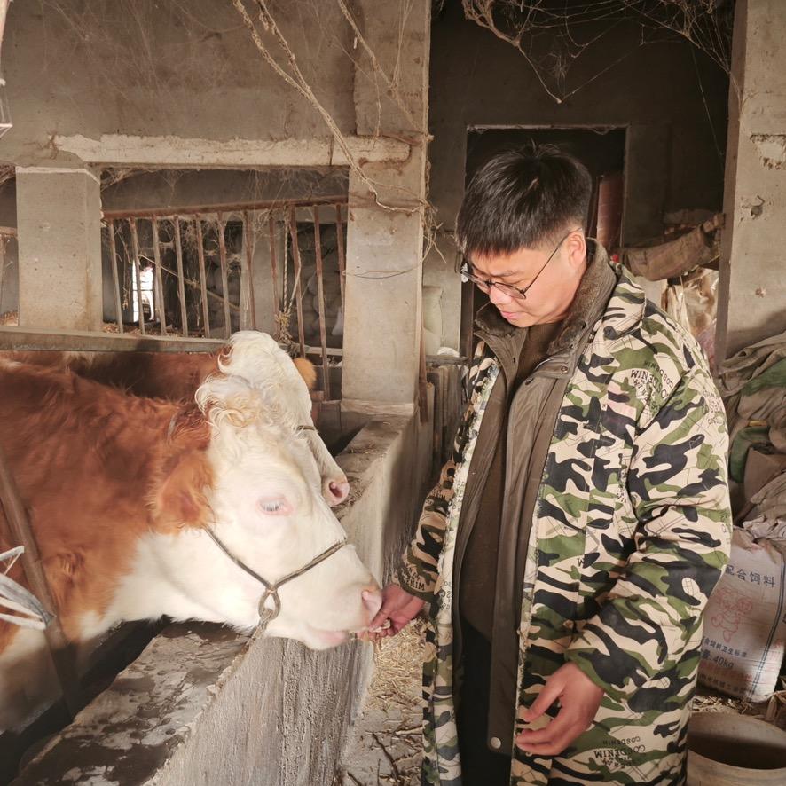 阿张乡货的头像