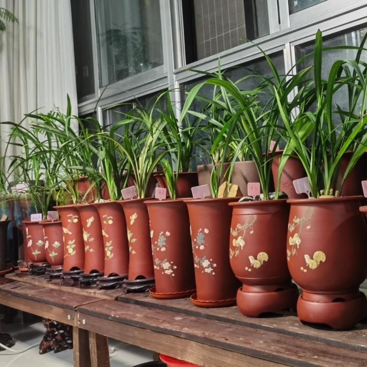 力农园艺（神力紫砂花盆）
