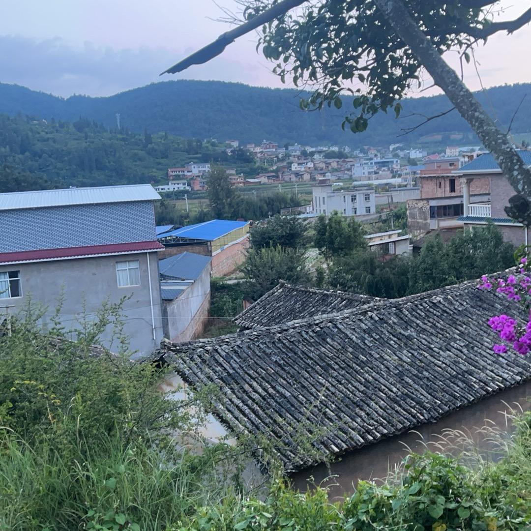 立竿见影，嘎嘎好使