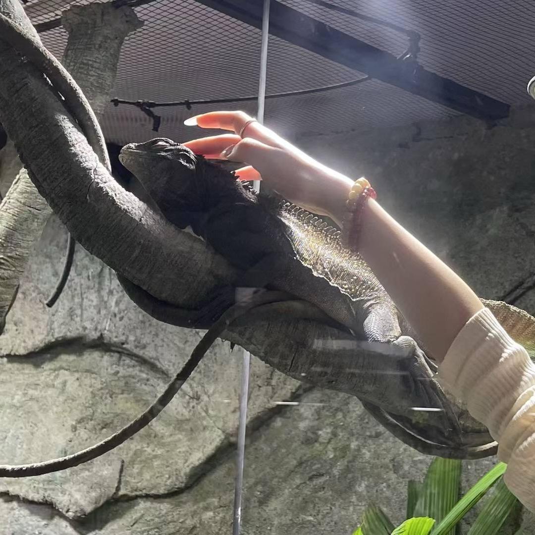 𝗠𝗮𝗸𝗮𝗯𝗮𝗸𝗮.