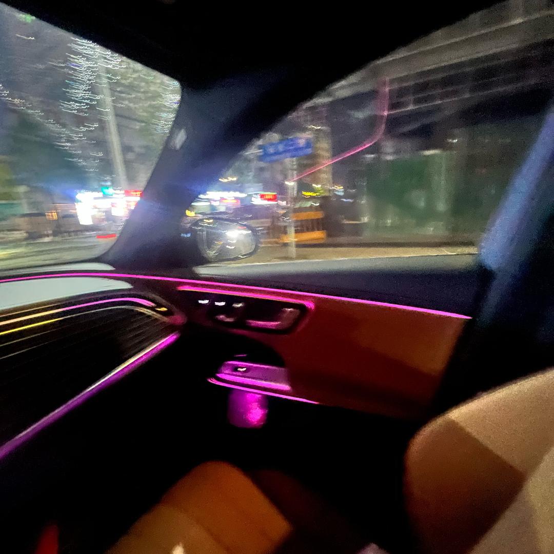 萝卜大拿