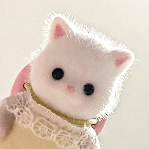 🐑-≽^•༚•🎀≼ฅ