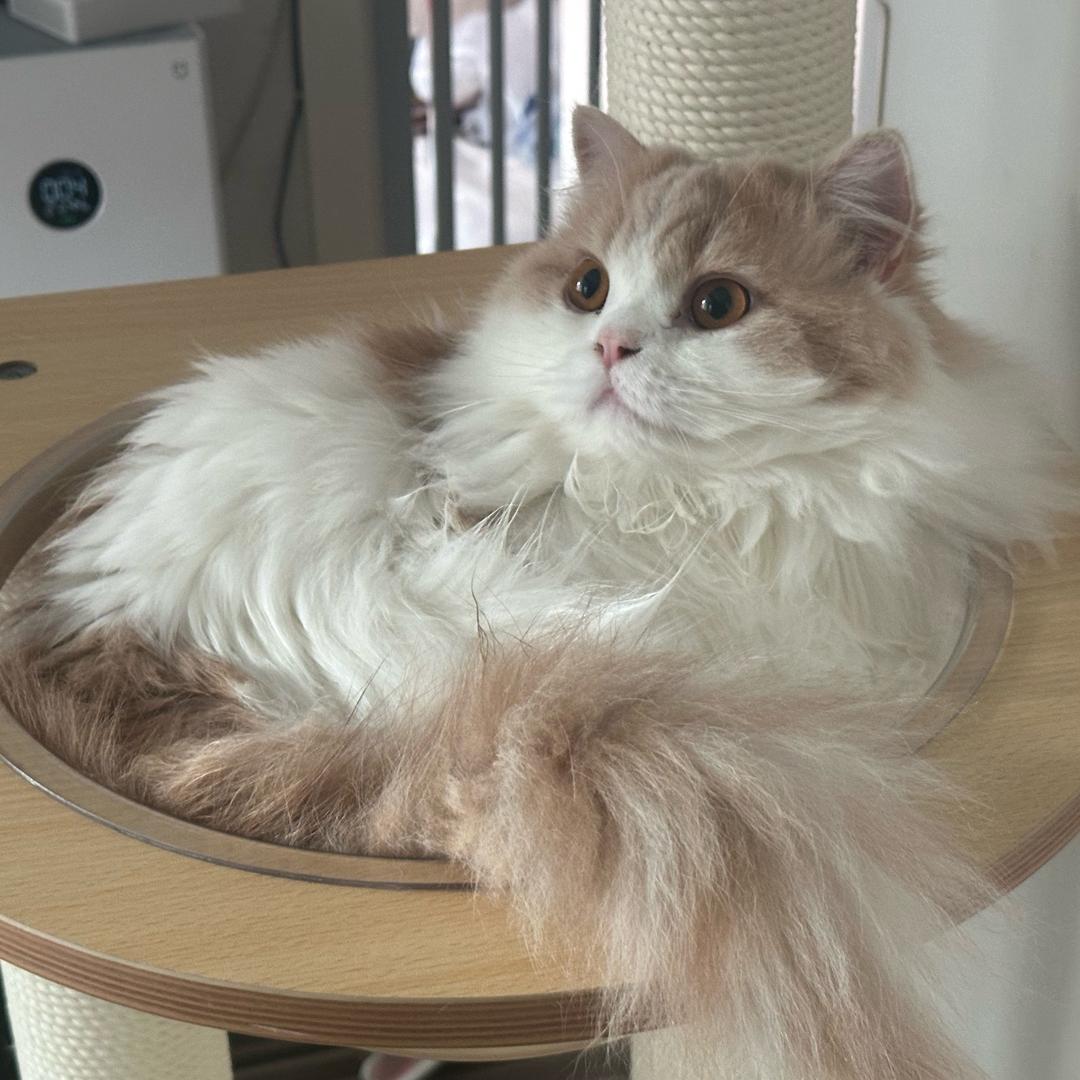 不关小瓜的事💕