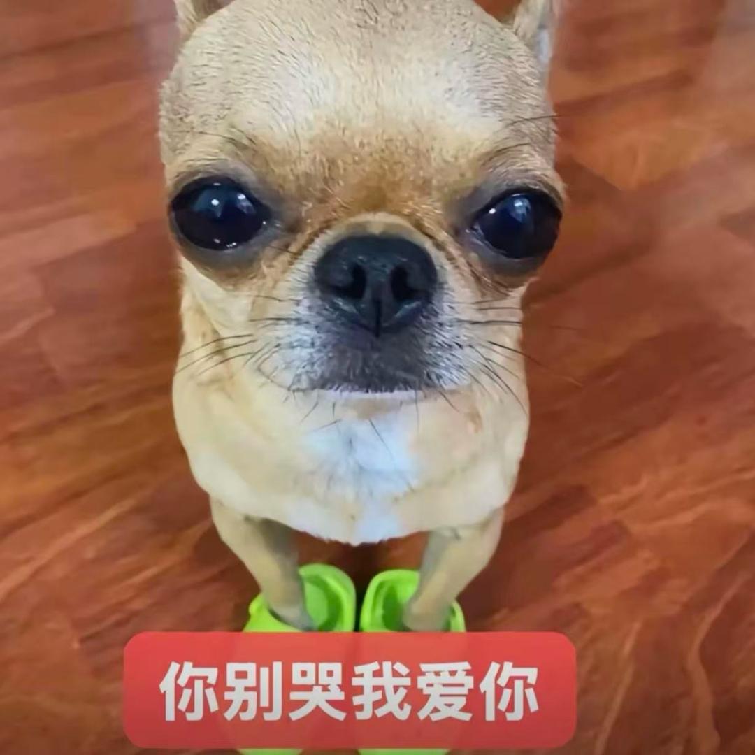 邂逅.